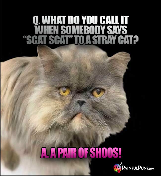 Q. What do you call it when somebody says "Scat Scat" to a stray cat? A. A pair of shoos!
