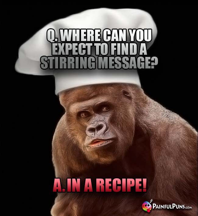 Gorilla Chef Asks: Where can you expect to find a stirring message? A. In a recipe!