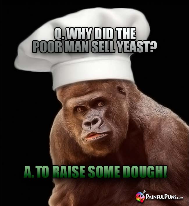 Gorilla Chef Asks: Why did the poor man sell yeast? A. To raise some dough!