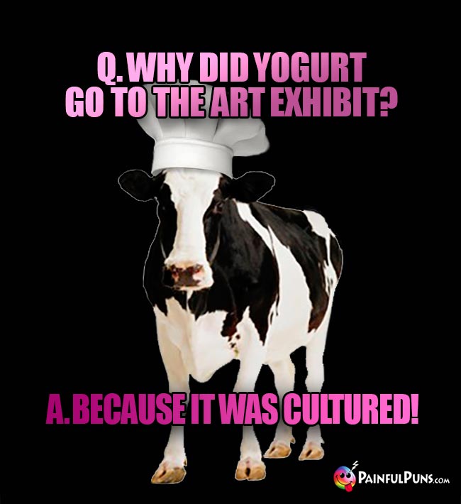 Cow Chef Asks: Why did yogurt go to the art exhibit? A. Because it was cultured!