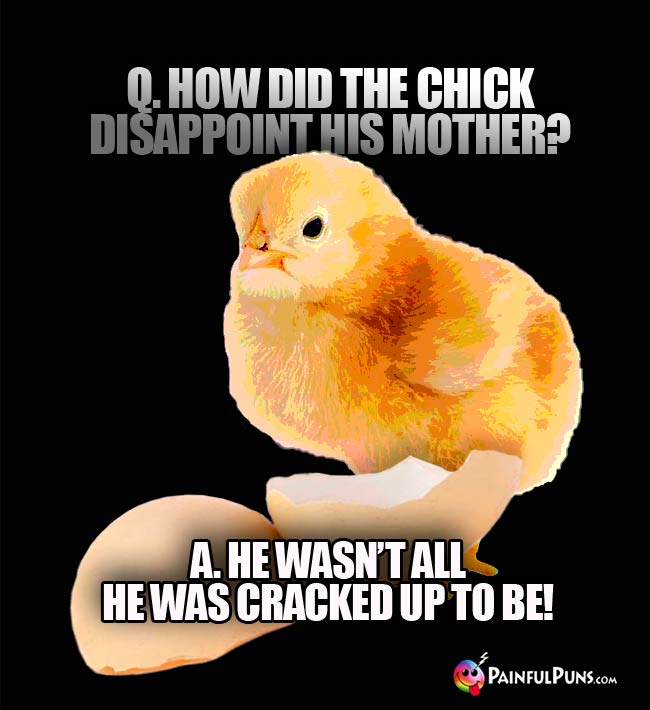 Q. How did the chick disappoint his mother? A. He wasn't all he was cracked up to be!