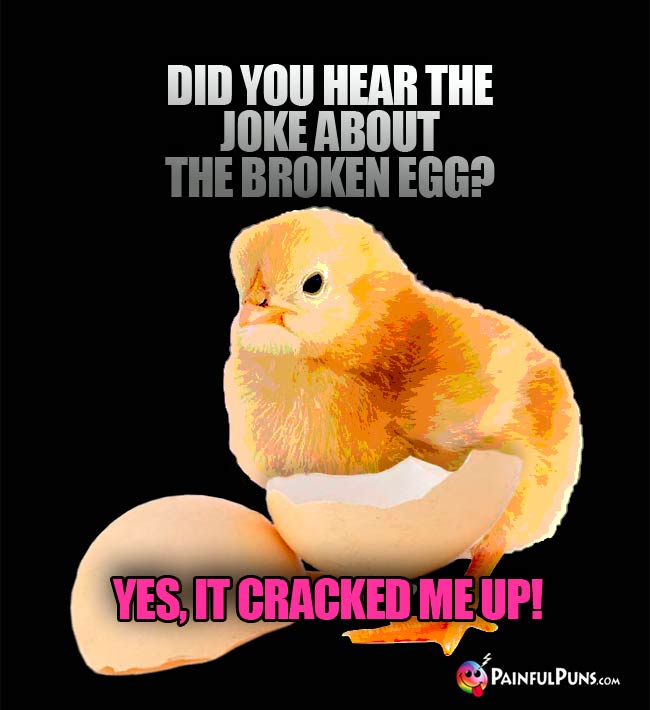 Did you hear the joke about the broken egg? Yes, it cracked me up!
