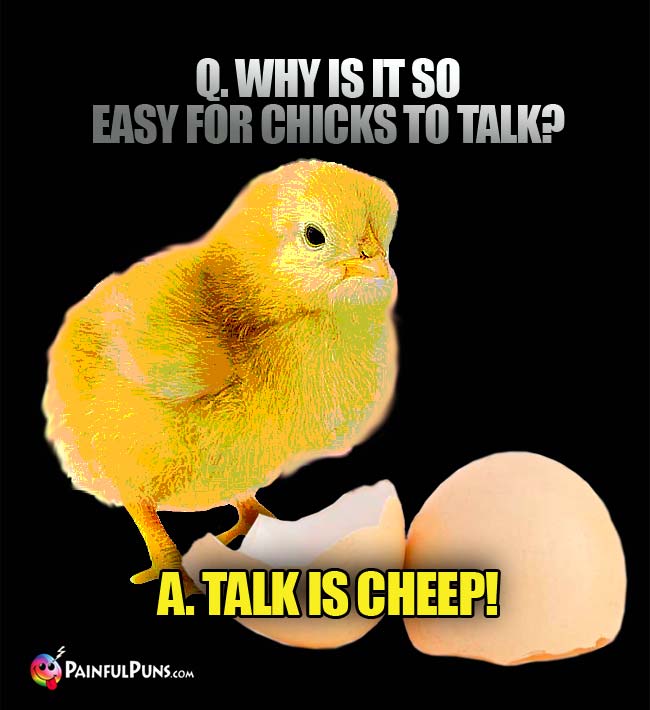 Q. Why is it so easy for chicks to talk? A. Talk is cheep!