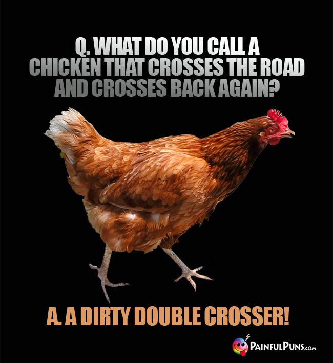 Q. What do you call a chicken that crosses the road and crosses back again? a. A dirty double crosser!
