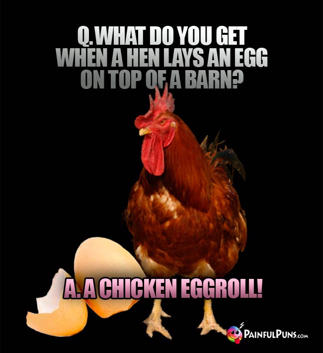 Q. What do you get when a hen lays an egg on top of a barn? A. A Chicken eggroll!
