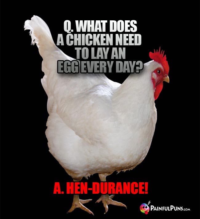 Q. What does a chicken need to lay an egg every day? A. Hen-durance!