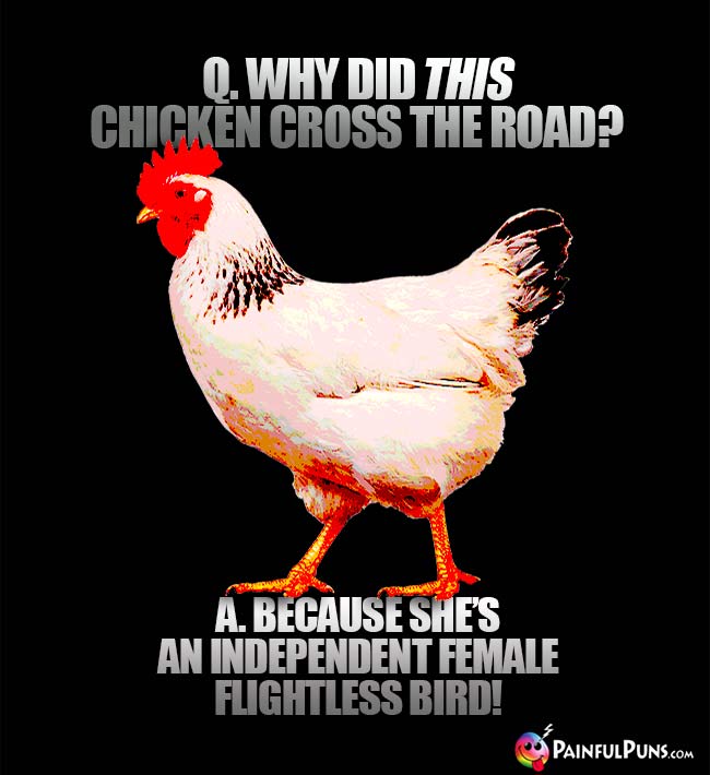 Q. Why did this chicken cross the road? A. Because she's an independent female flightless bird!