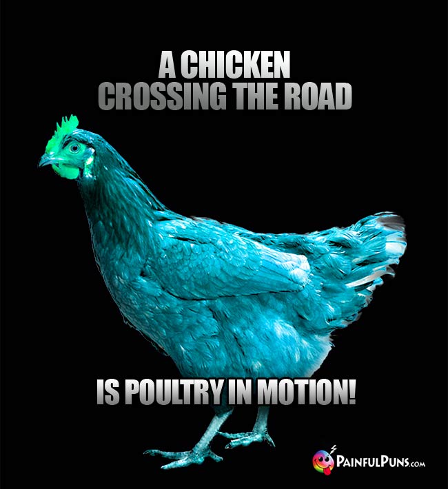 A chicken crossing the road is poultry in motion!