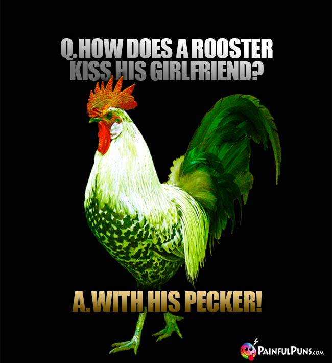 Q. How does a rooster kiss his girlfriend? A. With his pecker!
