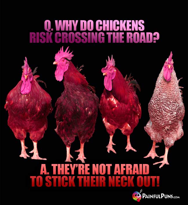 Q. Why do chickens risk crossing the road? A. They're not afraid to stick their neck out!