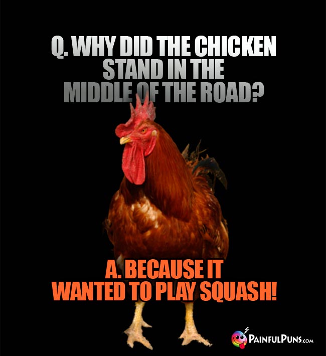 Q. Why did the chicken stand in the middle of the road? A. because it wanted to play squash!