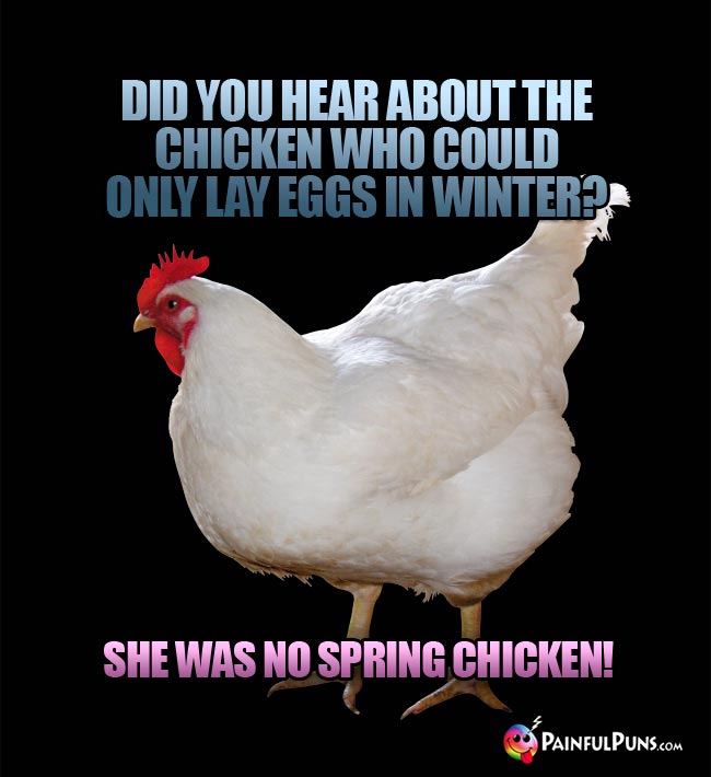 Did you hear about the chicken who could only lay eggs in winter? She was no spring chicken!