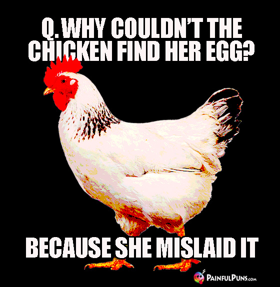Q. Why couldn't the chicken find her egg? A. Because she mislaid it.