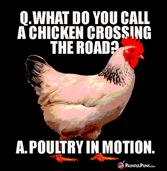 Q. What do you call a chicken crossing the road? A. Poultry in Motion.