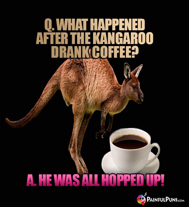 Kangaroo Jokes, Roo Puns, Marsupial Humor 