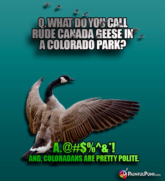 Q. What do you call rude Canada geese in a Colorado park? A. @#$%^&*! And, Coloradans are pretty polite.