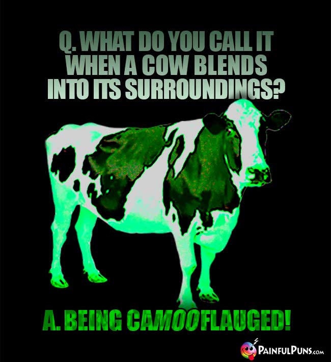 Q. What do you call it when a cow blends into its surroundings? A. Being ca-moo-flauged!