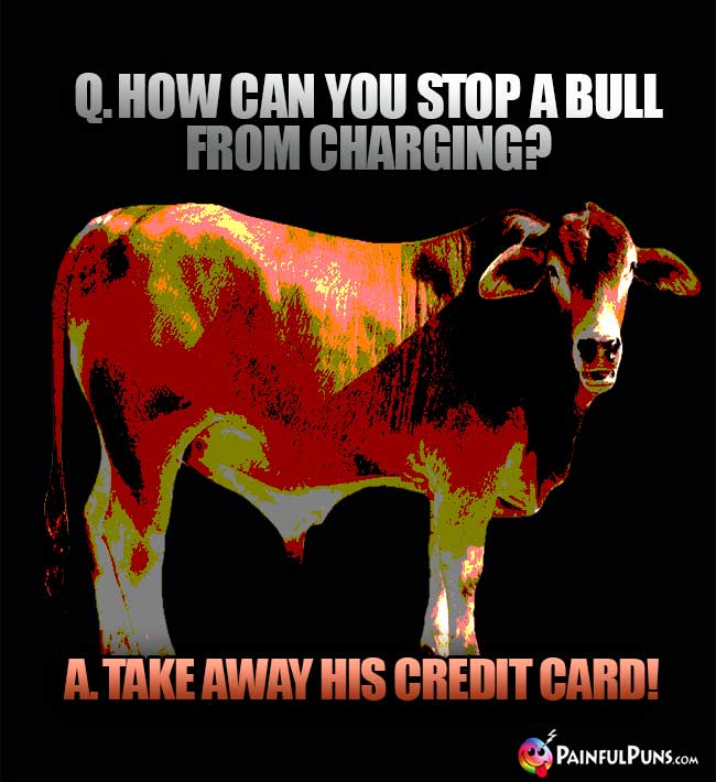 Q. How can you stop a bull from charging? A. Take away his credit card!