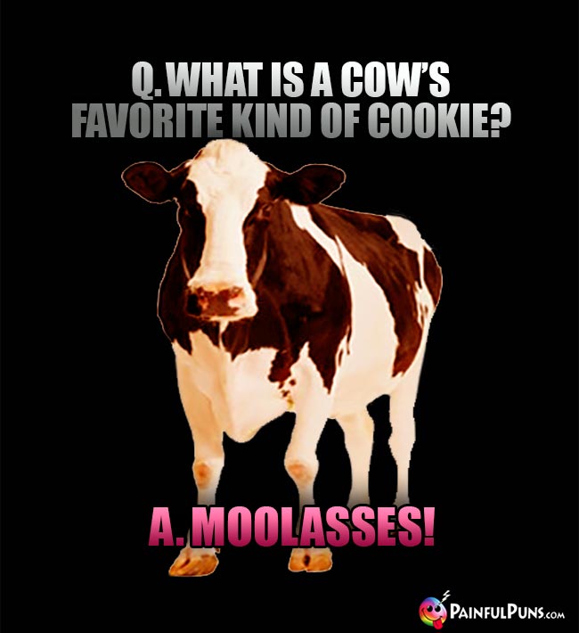 Q. What is a cow's favorite kind of cookie? A. Moolasses!