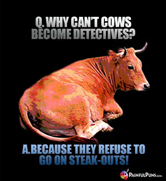 Q. Why can't cows become detectives? A. Because they refuse to go on steak-outs!