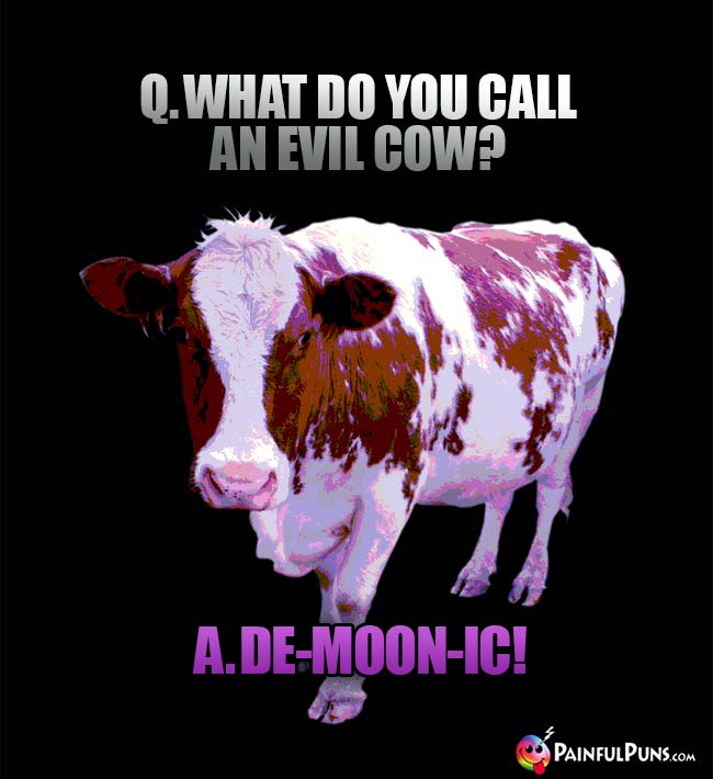Q. What do you call an evil cow? A. De-moon-ic!