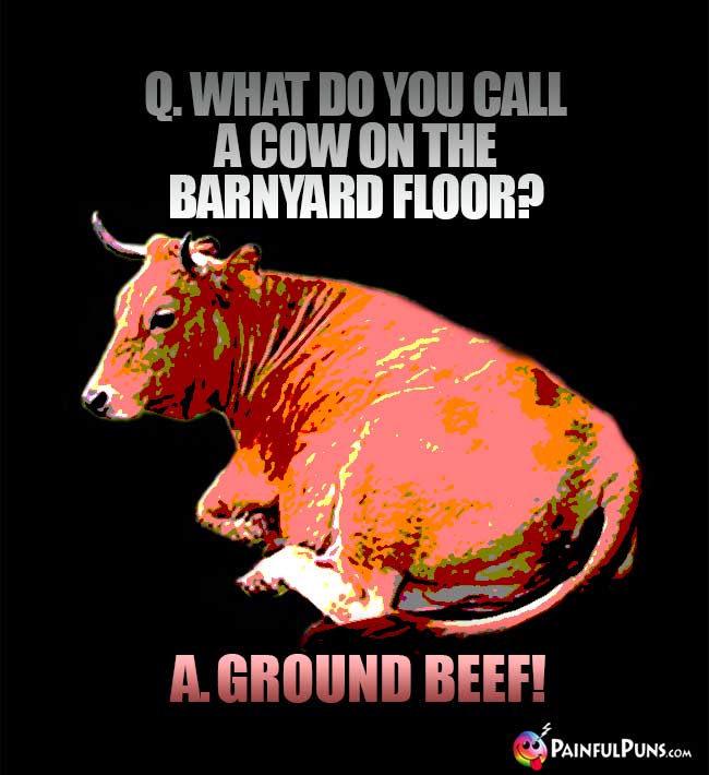 Q. What do you call a cow on the barnyard floor? A. Ground beef!
