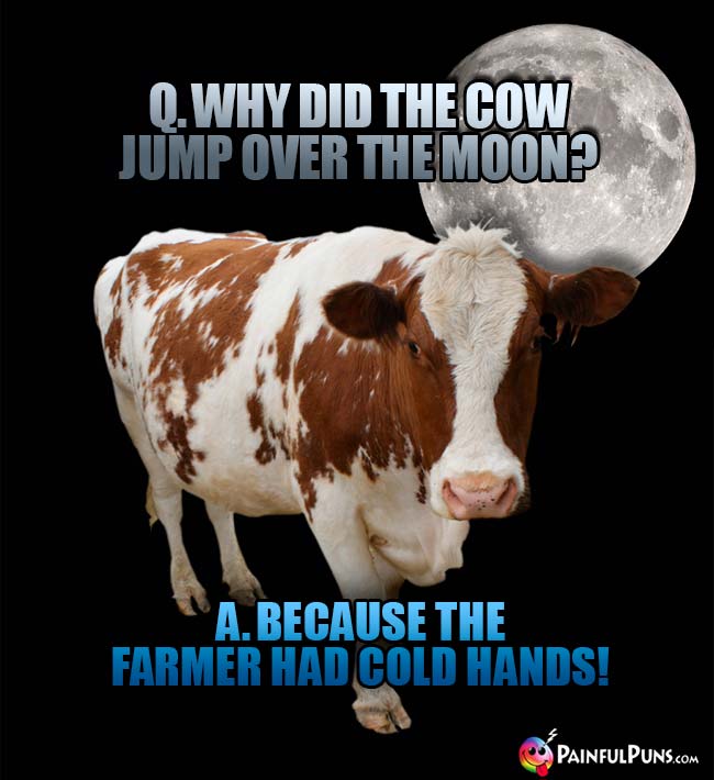 Q. Why did the cow jump over the moon? A. Because the farmer had cold hands!