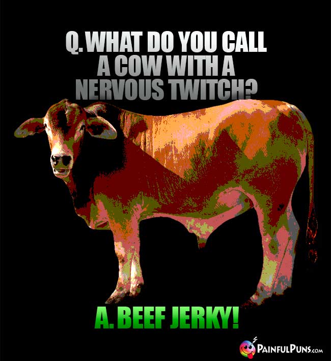 Q. What do you call a cow with a nervous twitch? A. Beef jerky!