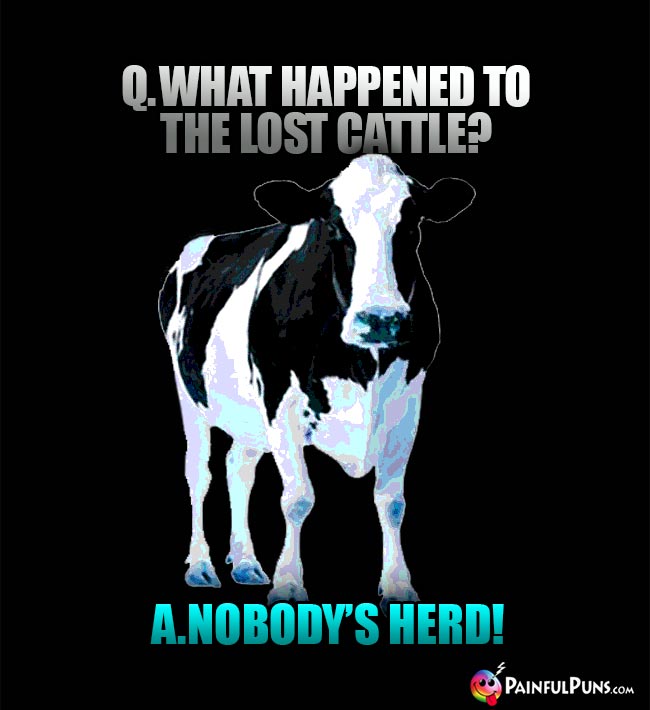 Q. What happened to the lost cattle? A. Nobody's herd!