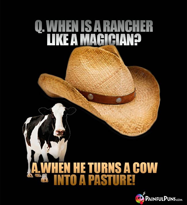 Q. When is rancher like a magician? A. When he turns a cow into a pasture!