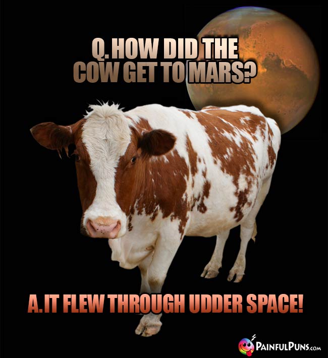 Q. How did the cow get to Mars? A. It flew through udder space!