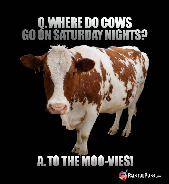 Q where do cows go on Saturday nights? A. To the moo-vies!