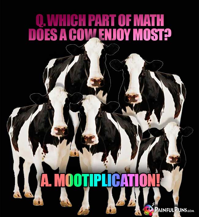Q. Which part of math does a cow enjoy most? A. Mootiplication!