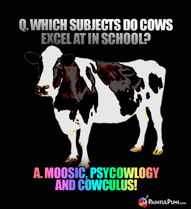 Q. Which subjects do cows excel at in school? A. Moosic, psycowlogy and cowculus!