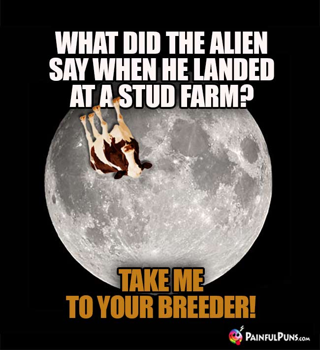 What did the alien say when he landed at a stud farm? Take me to your breeder!