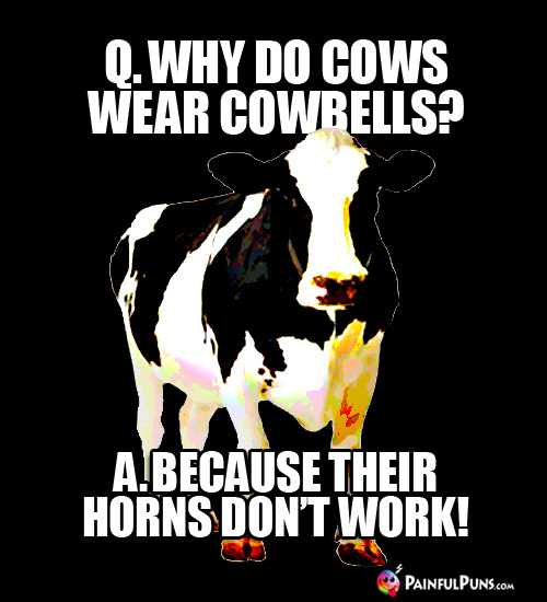 Q. Why do cows wear cowbells? A. Because their horns don't work!