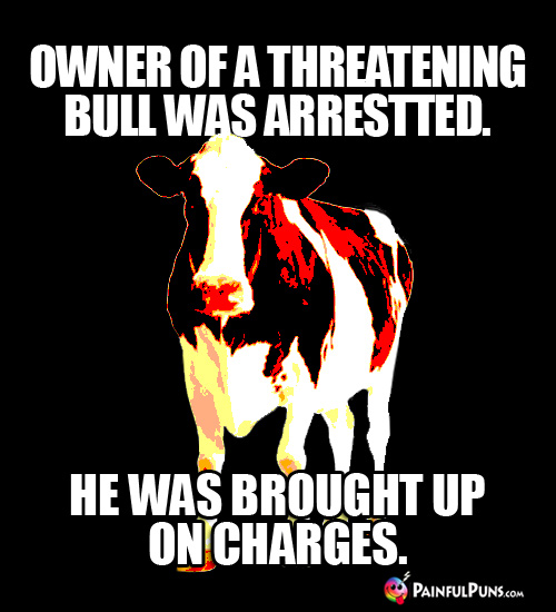 Owner of a threatening bull was arrested. He was brought up on charges.