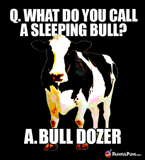 Q. What do you call a sleeping bull? A. Bull Dozer