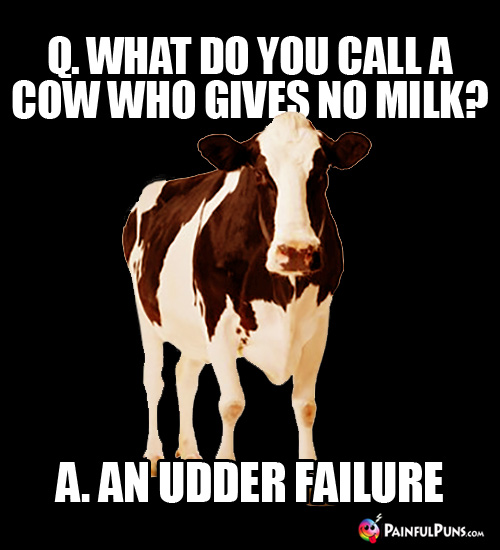 Q. What do you call a cow who gives no milk? A. An Udder Failure