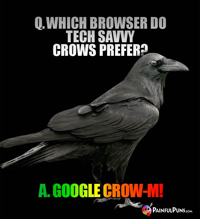 Q. Which browser do tech savvy crows prefer? A. Google Crow-m!