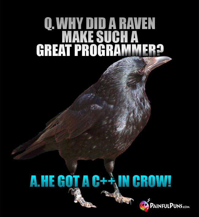 Q. Why did a raven make such a great programmer? a. He got a c++ in Crow!