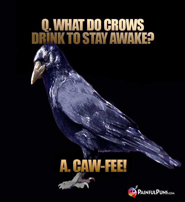 Q. What do crows drink to stay awake? A. Caw-fe!