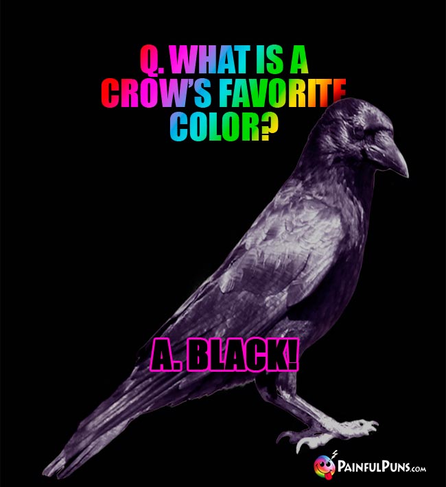 Q What is a crow's favorite color? A. Black