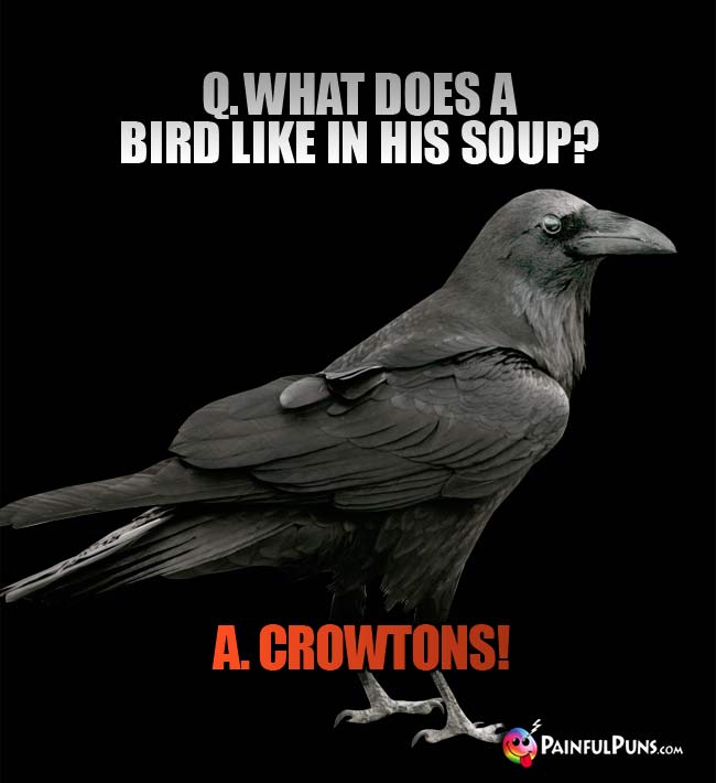 Q. What does a bird like in his soup? a. Cowtons!