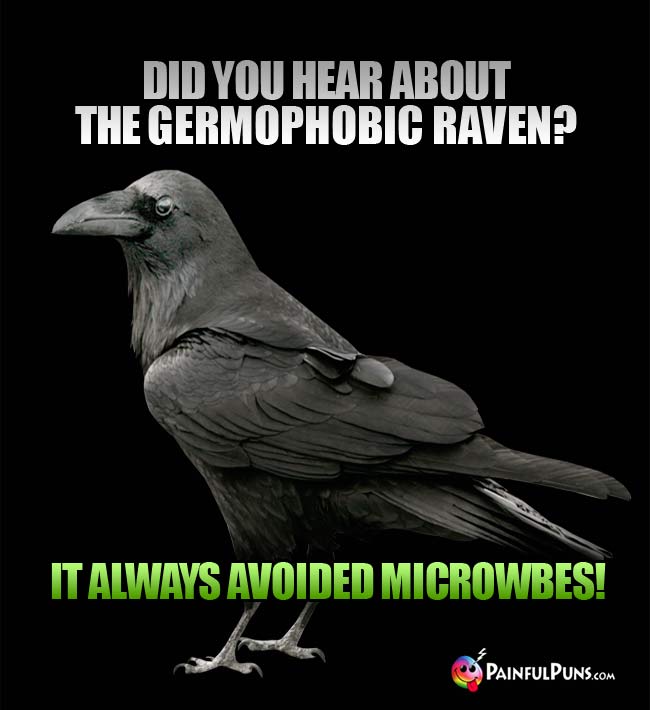 Did you hear about the germophobic raven? It always avoided microwbes!