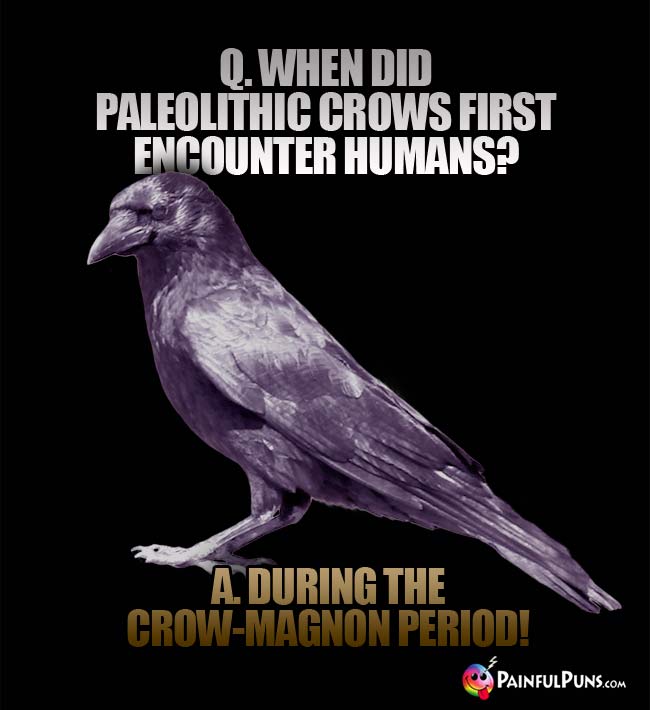 Q. When did paleolithic crows first encounter humans? A. During the crow-magnon period!