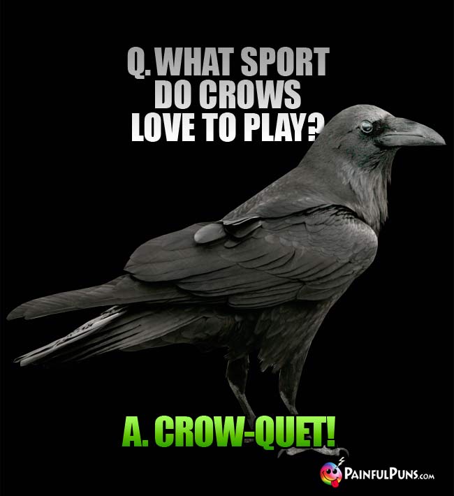 Q. what sport do crows love to play? A. Crow-quet!