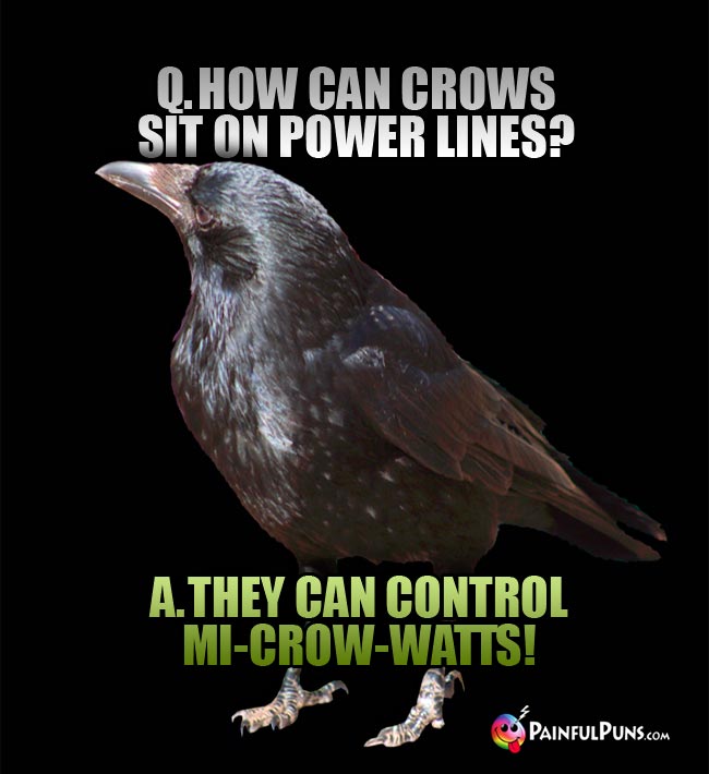 Q. How can crows si on power lines? a. they can control mi-crow-watts!