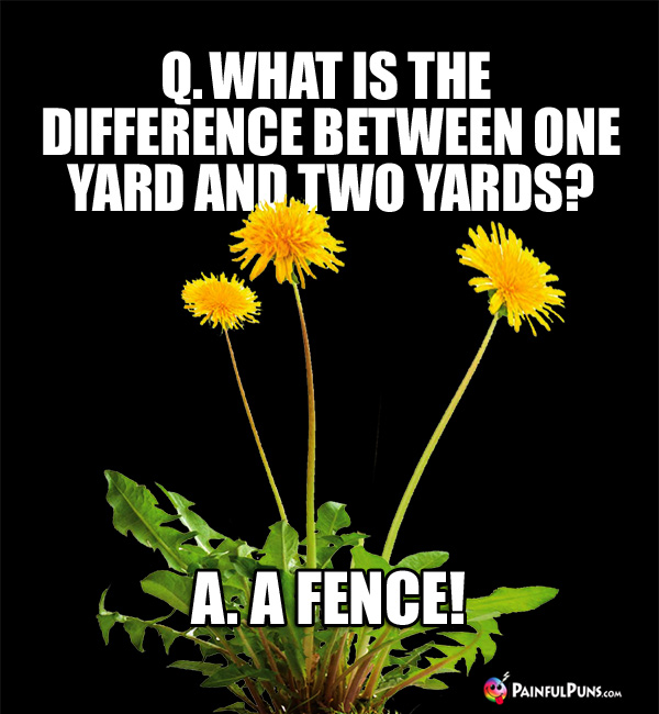 Q. What is the difference between one yard and two yards? A. A Fence!