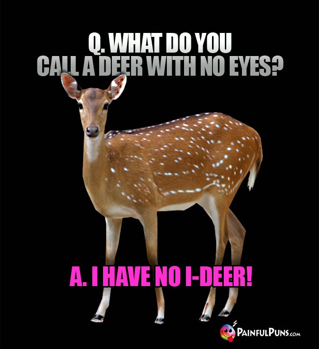 Q. What do yu call a deer with n eyes? A. I Have No I-Deer~